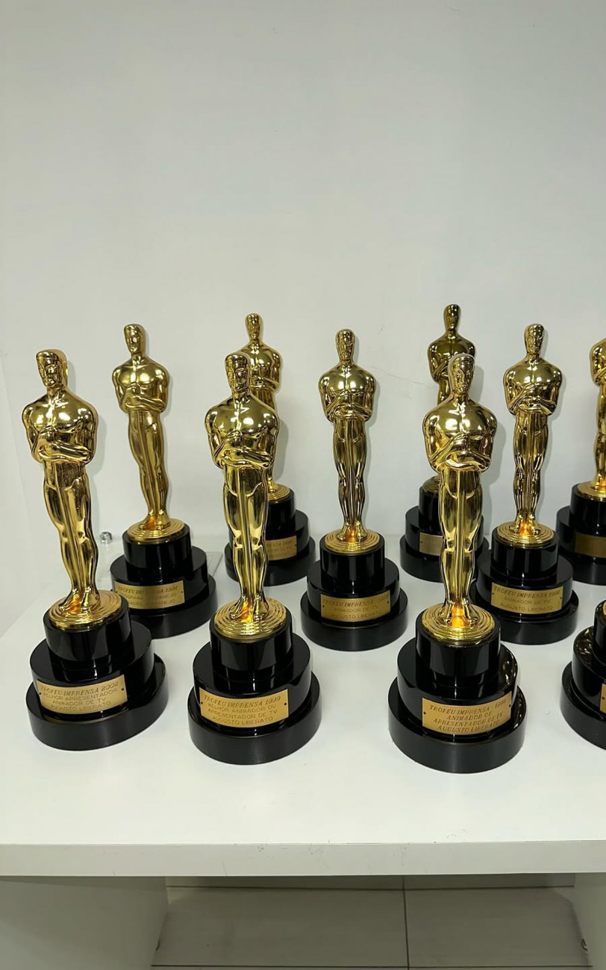 Detalhe de trof&eacute;us do acervo de Gugu Liberato - Reprodu&ccedil;&atilde;o/Instagram