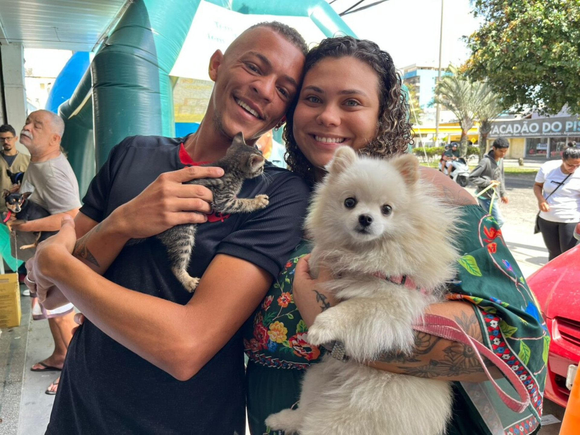 Feira de Adoção  - Reprodução