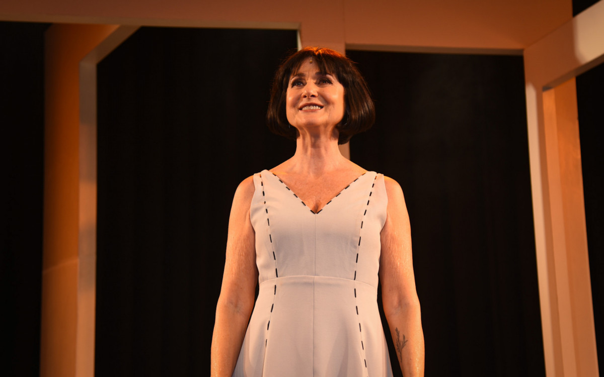 Zezé Polessa em estreia VIP do espetáculo \'Os Olhos de Nara Leão\', no Teatro Renaissance, em São Paulo