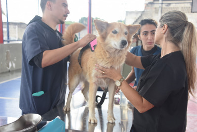 Maricá ultrapassa 5 mil castrações e amplia ações de proteção animal em 2025