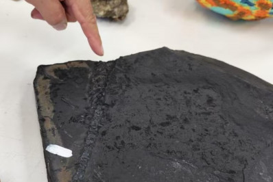 Saiba como fósseis de lagarto mais antigo que dinossauros impediram obra em rodovia no Paraná