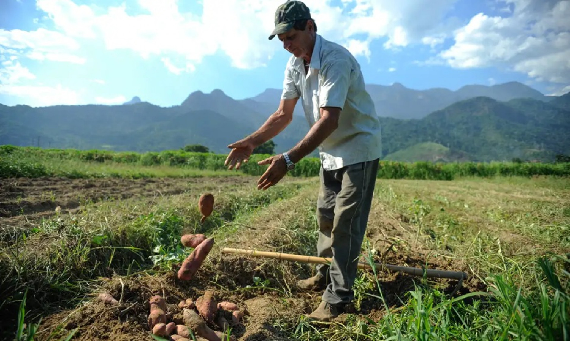 Governo edita Decreto com retomada do Desenrola Rural
