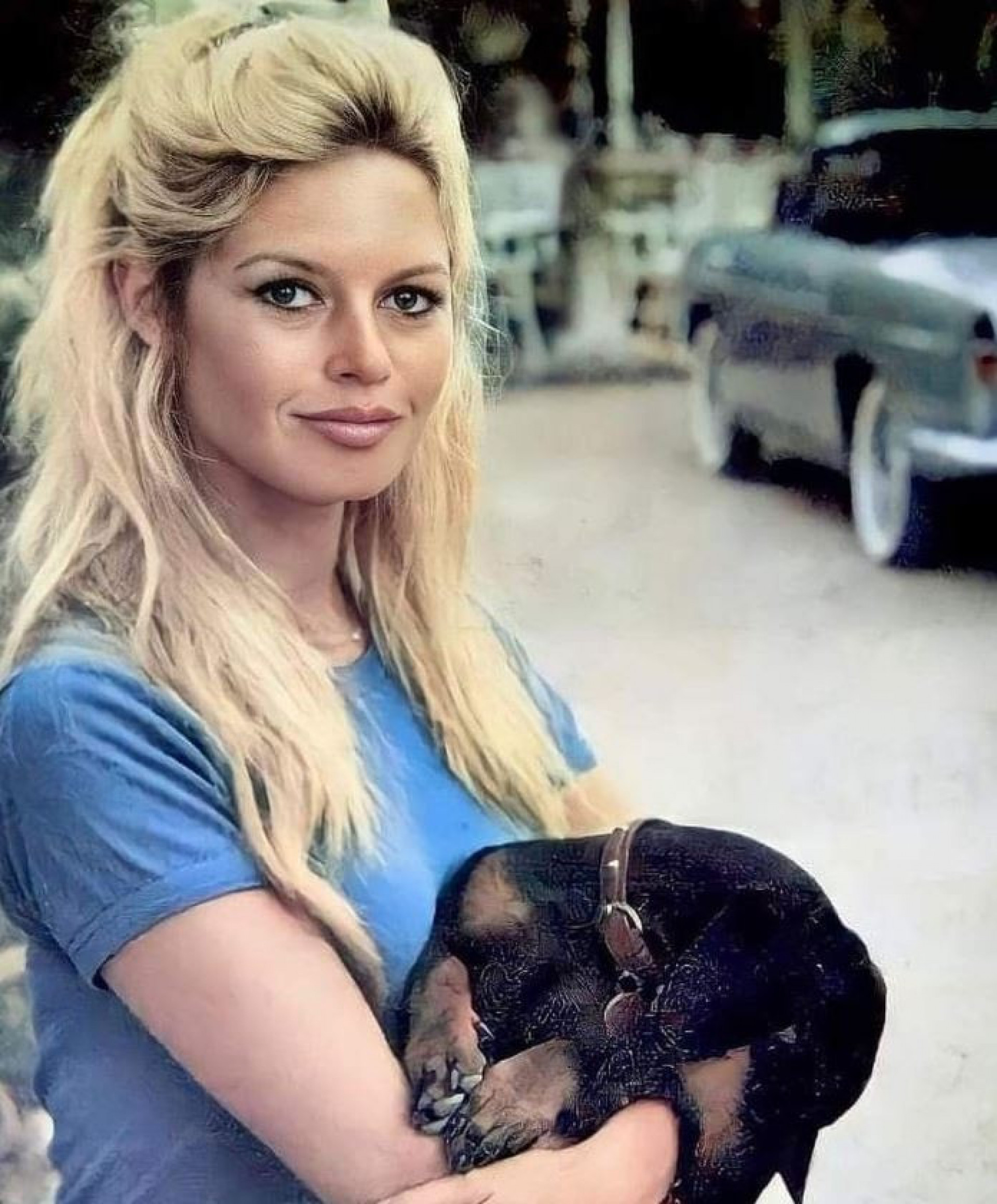 Brigitte Bardot é defensora da causa animal - Reprodução / Instagram