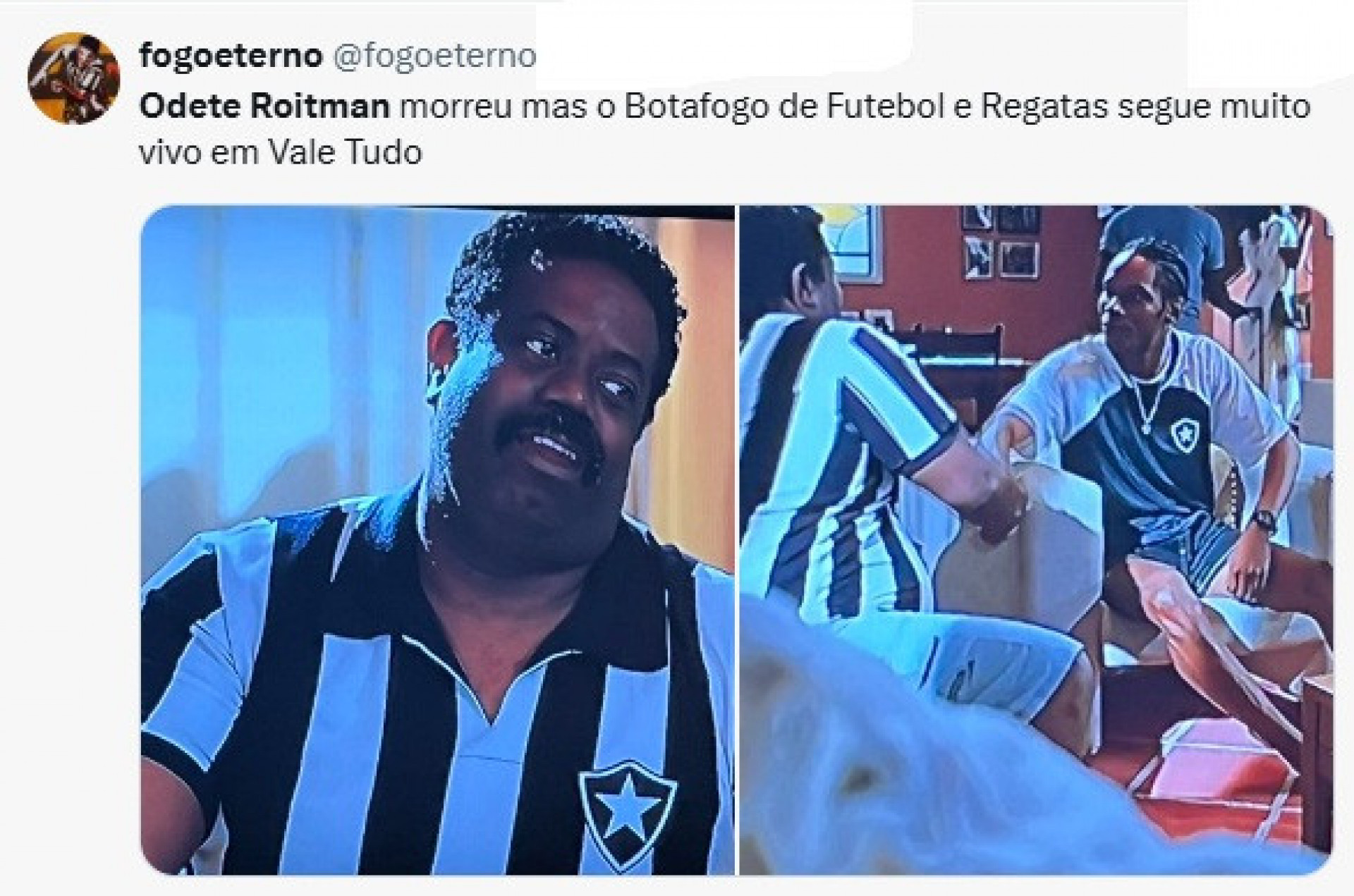 Sem clubismo, Parte 2 - Mesmo em baixa dentro de campo, o Botafogo vai bem em 'Vale Tudo' - Reprodução