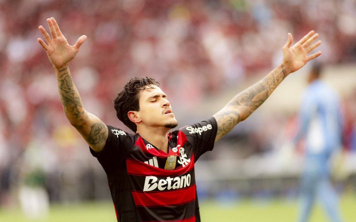 Pedro comemora gol marcado pelo Flamengo sobre o Palmeiras, no Maracanã