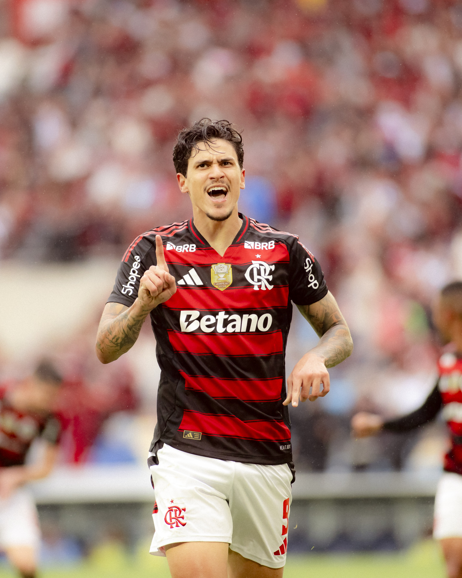 FLAMENGO X PALMEIRAS - CAMPEONATO BRASILEIRO - MARACANA - 19-10-2025