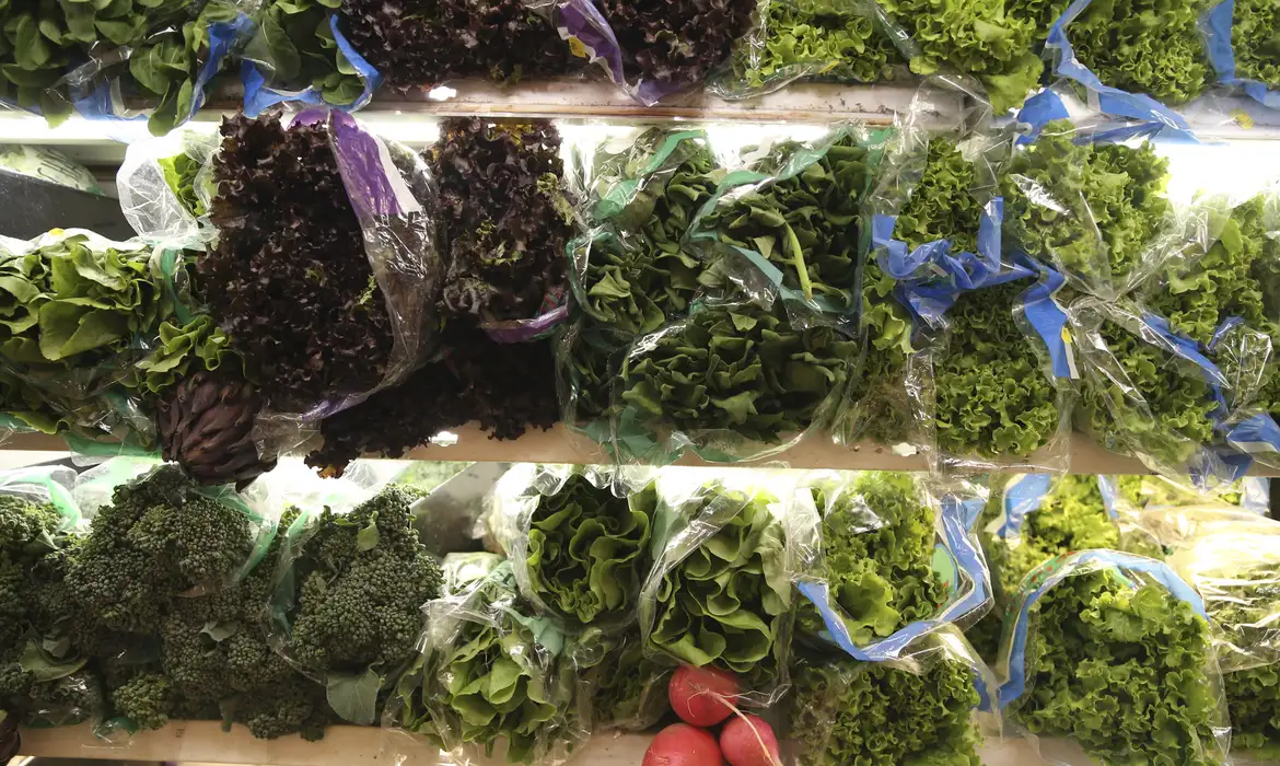 Hortaliças registram queda de preços em setembro, aponta Conab