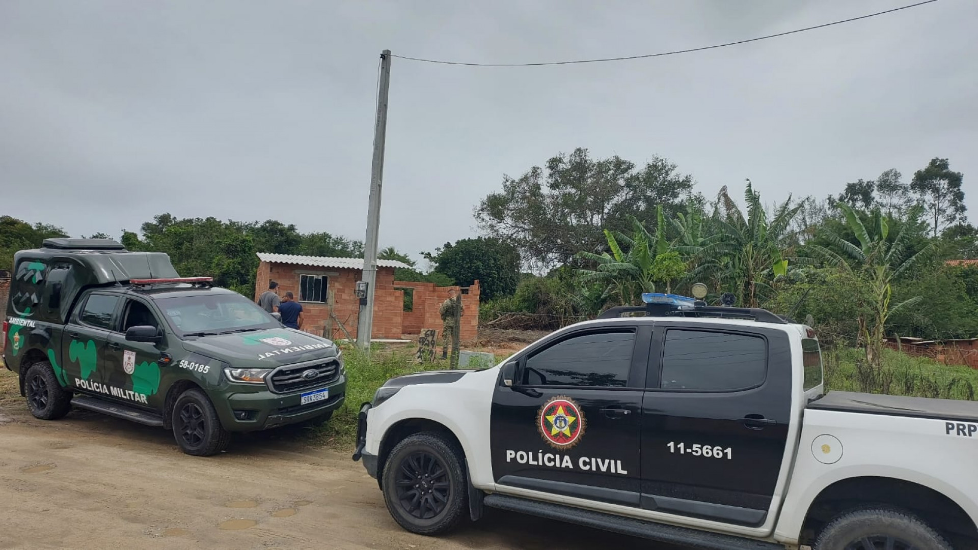 Desmatamento - Reprodução