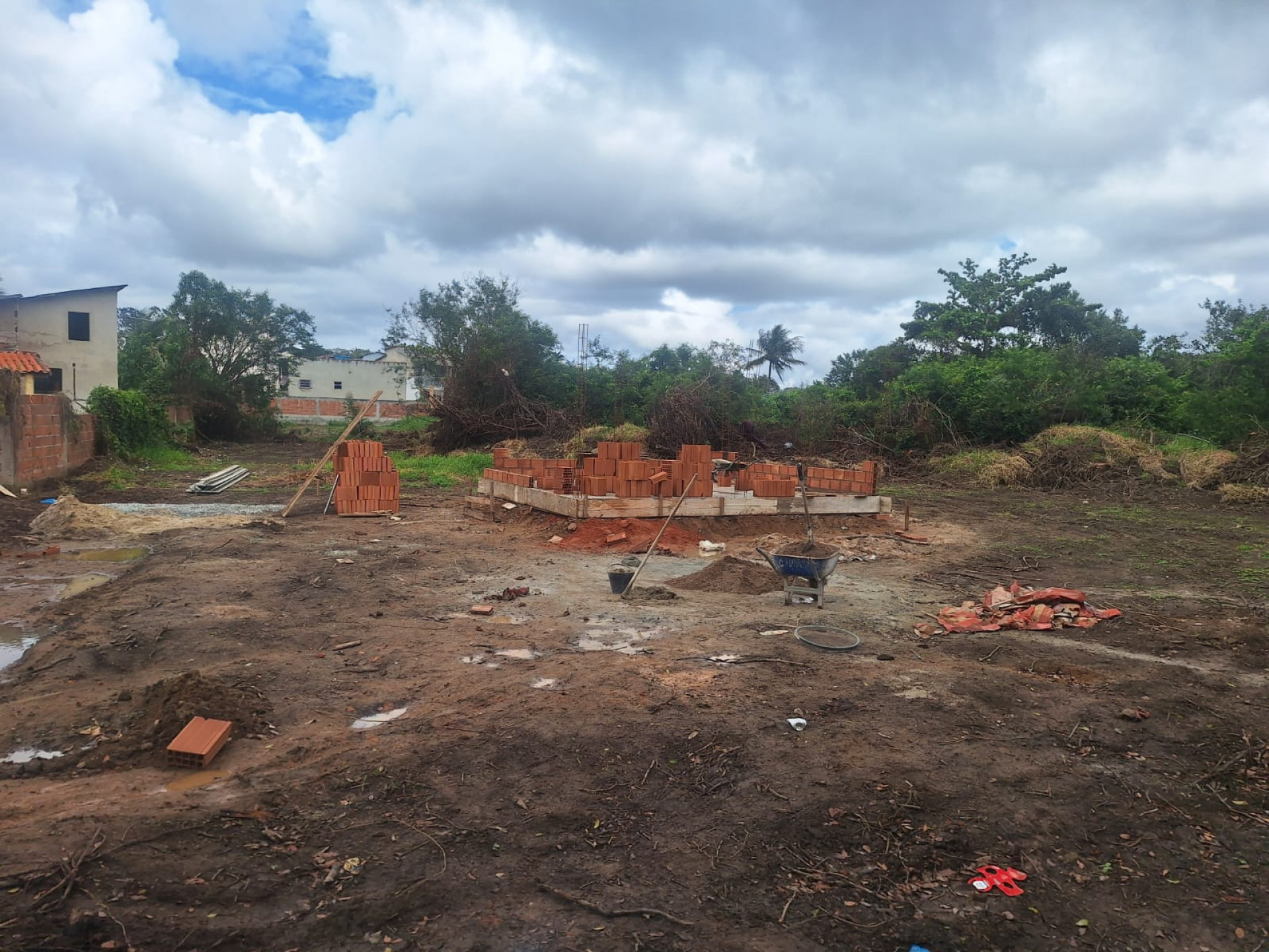 Desmatamento - Reprodução