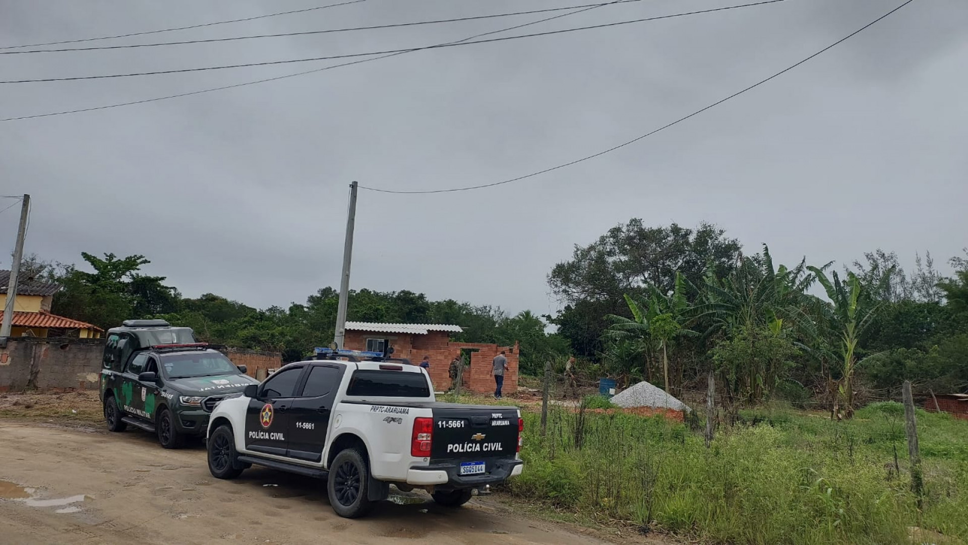 Desmatamento - Reprodução