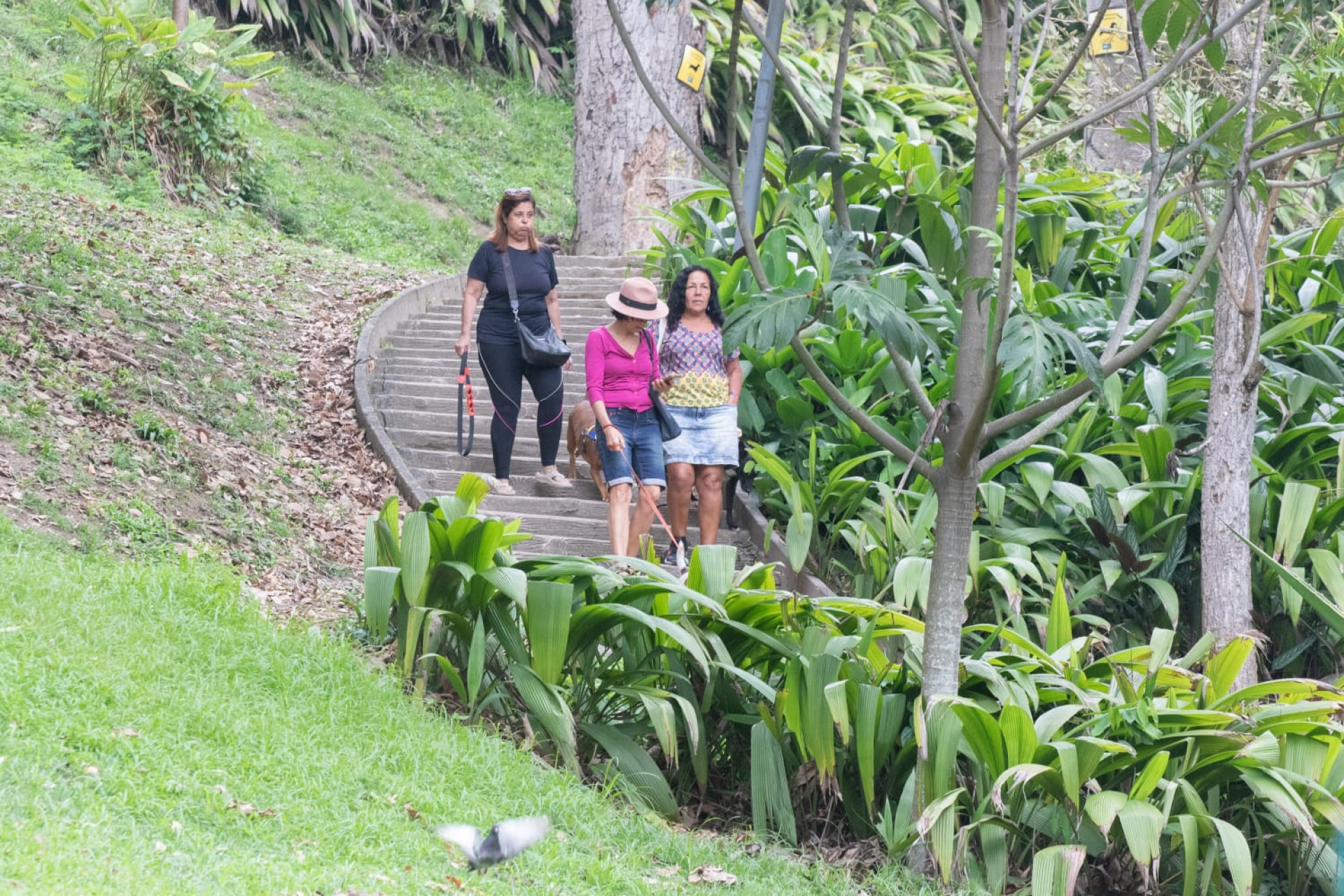 Cariocas enfrentam madrugada mais fria de outubro em 11 anos, mas fim de semana deve ser com sol - Érica Martin/Agência O Dia