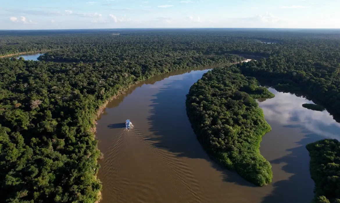 Desmatamento cai 11% na Amazônia e no Cerrado
