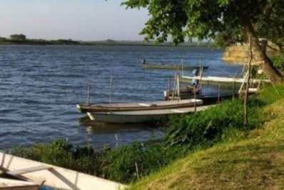 Pesca em rios, lagos e lagoas proibida a partir de novembro por conta de defeso