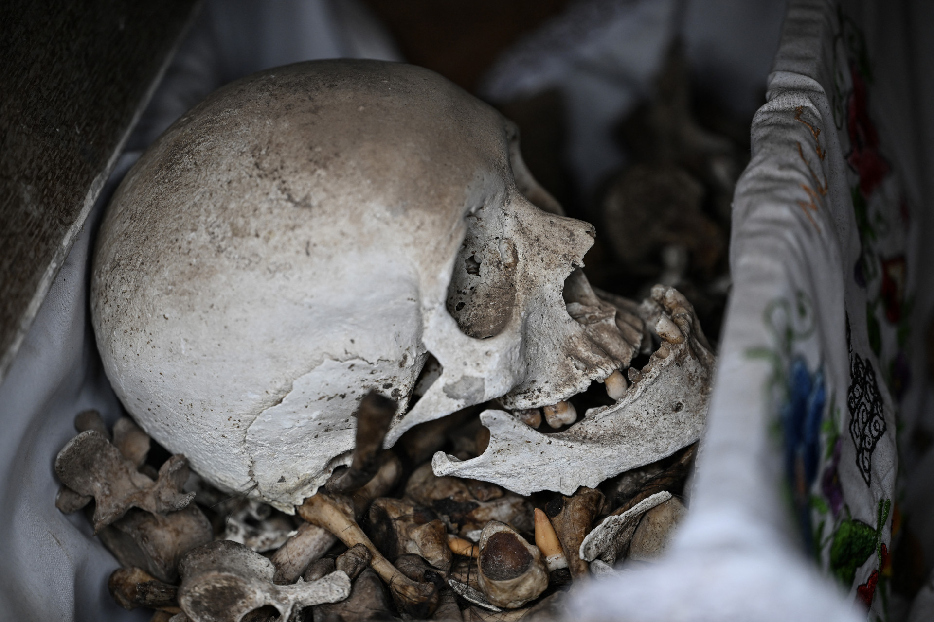 Tradição mexicana é ancestral - Yuri Cortez / AFP