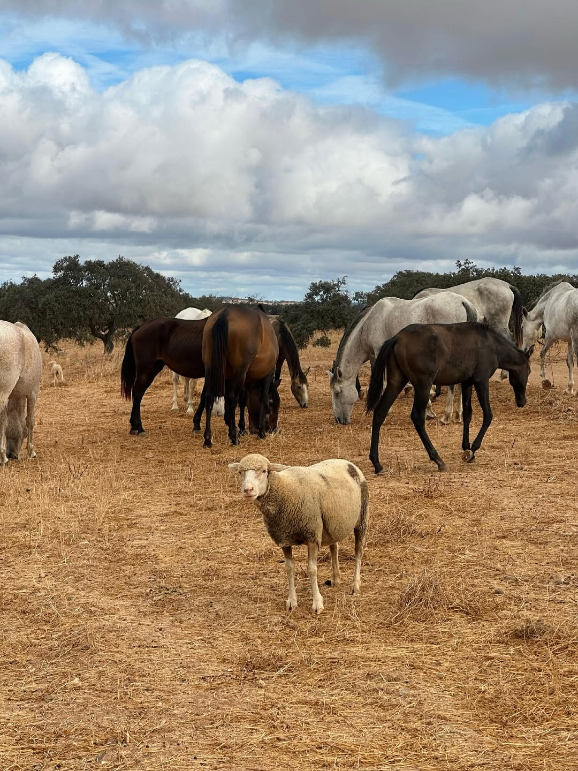 Debora Bloch divulgou cliques das férias em país europeu  - Reprodução/Instagram 