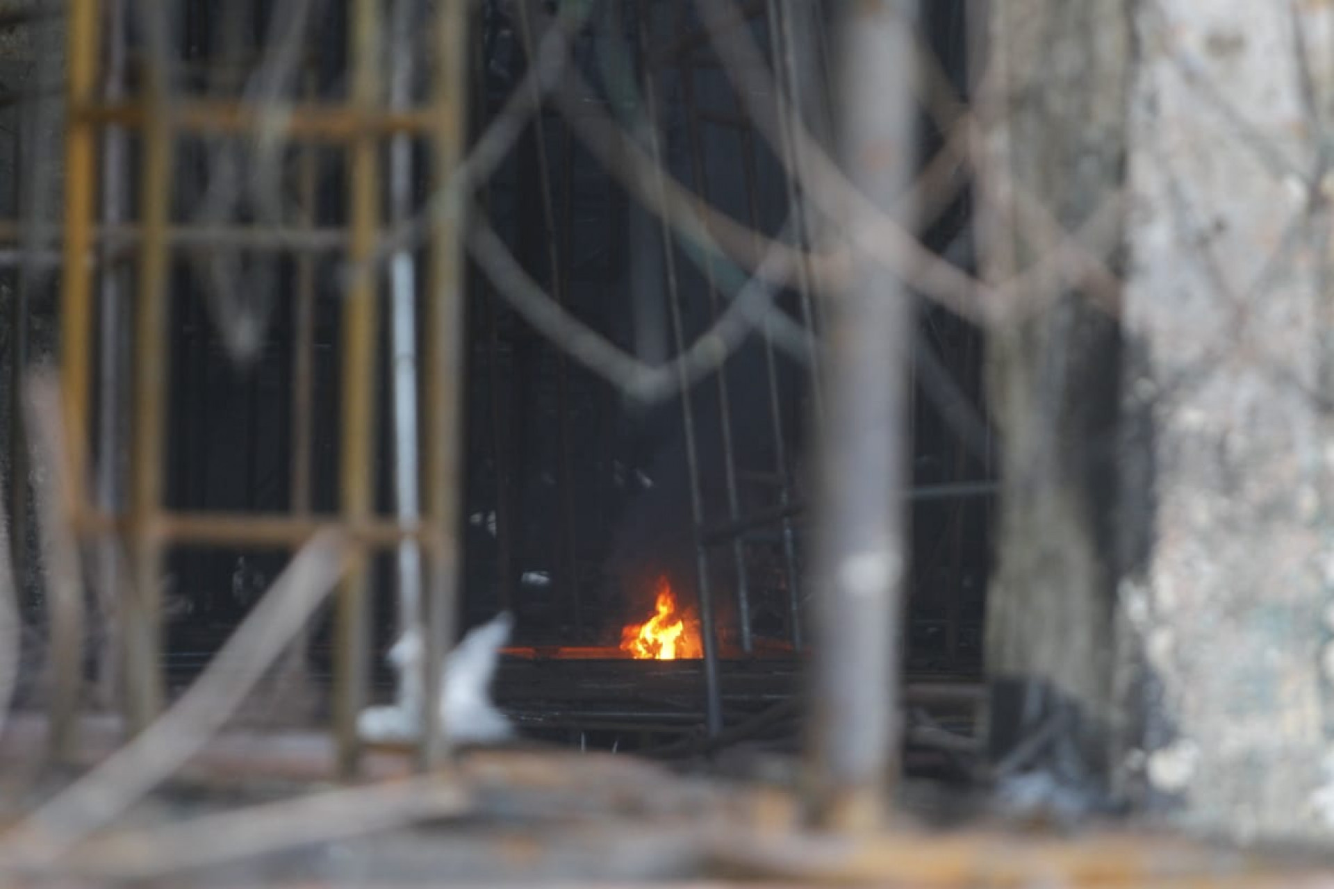 Novas chamas surgiram na manhã desta quinta-feira (23) - Reginaldo Pimenta/Agência O Dia