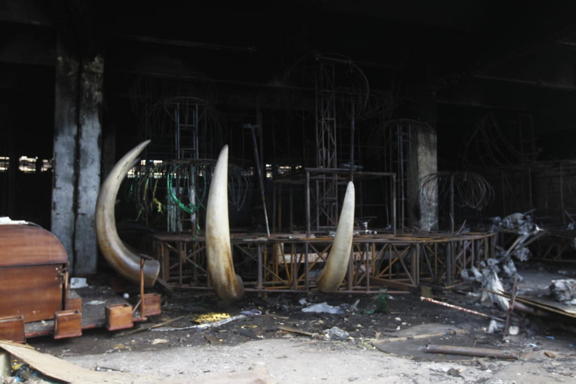 Novas chamas surgiram na manhã desta quinta-feira (23) - Reginaldo Pimenta/Agência O Dia