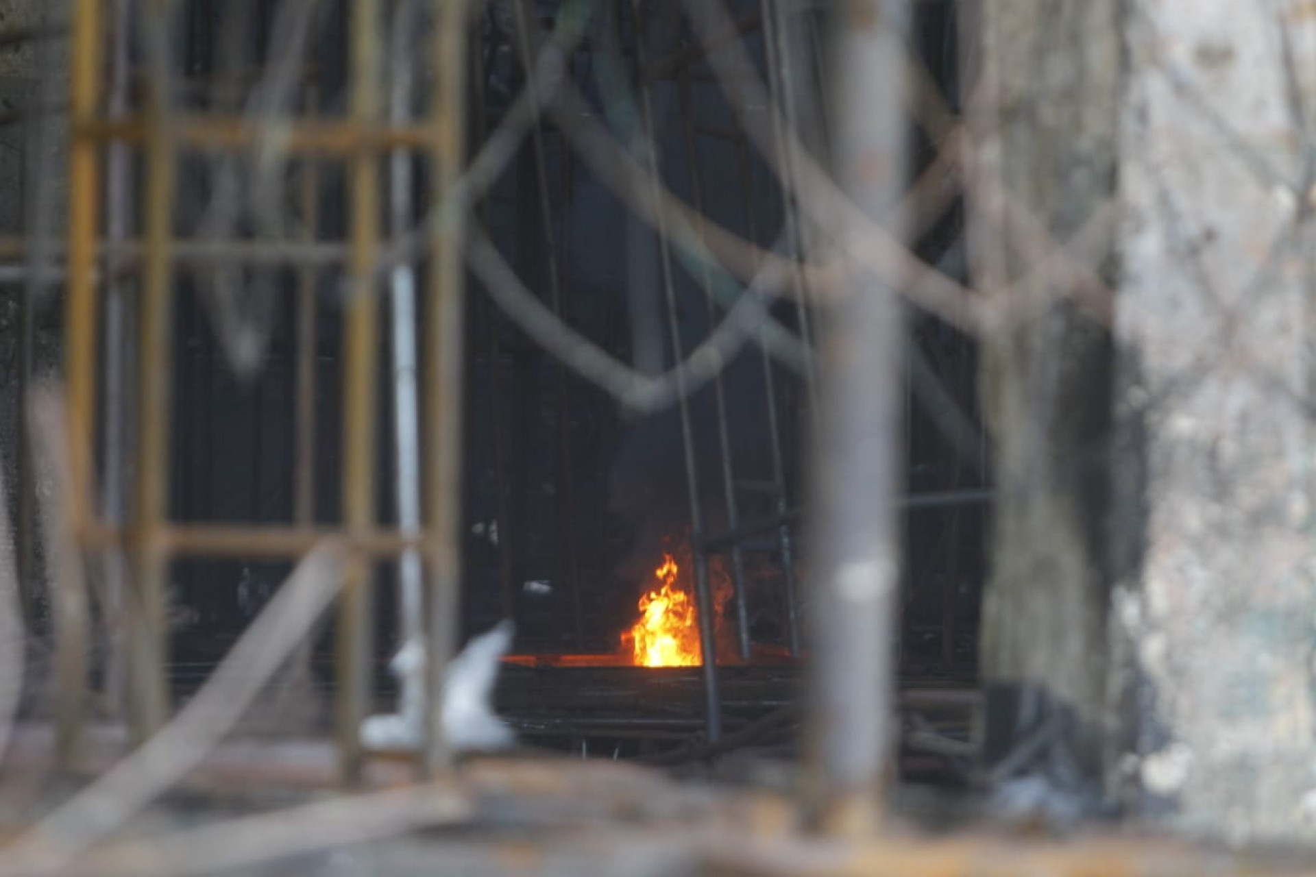 Novas chamas surgiram na manhã desta quinta-feira (23) - Reginaldo Pimenta/Agência O Dia