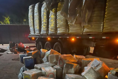 PF apreende 2,5 toneladas de maconha escondida em carga de fertilizantes em MS