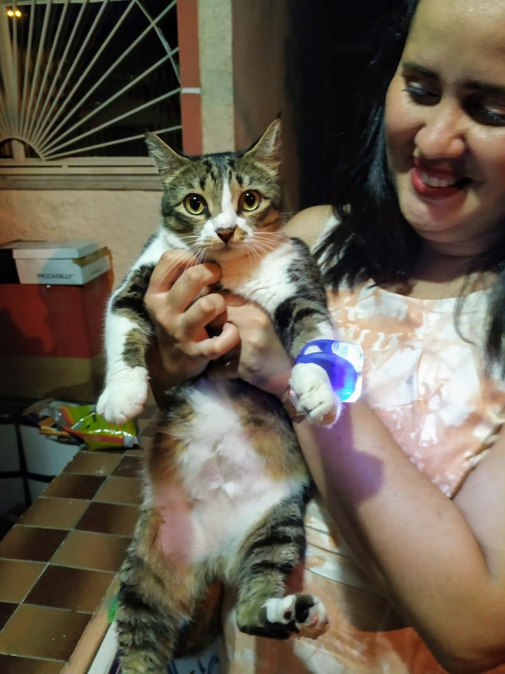 Tutora Aline Tavares, de 40 anos, posa com sua gatinha Domitila, de 11