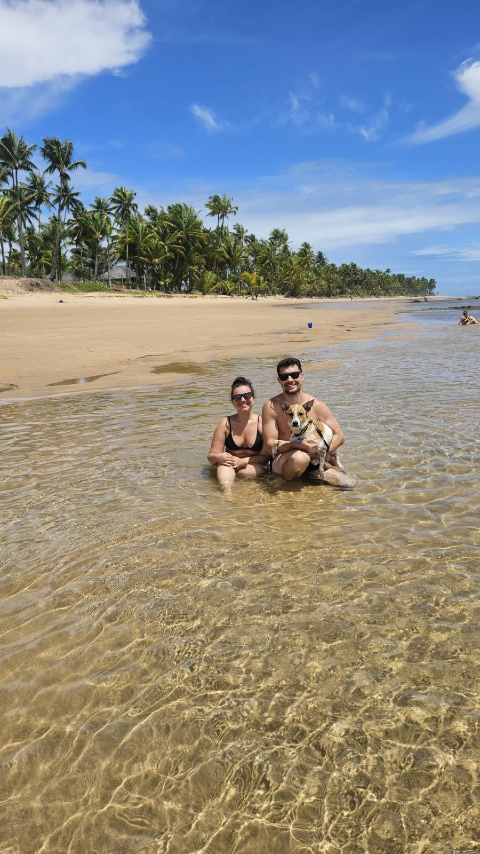 Caramelo Paçoca, adotado em condições de vulnerabilidade, desfruta de todo carinho e atenção dos tutores