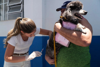 São Gonçalo bate meta na campanha de vacinação antirrábica