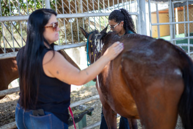 Égua resgatada pela SMPDA recebe cuidados veterinários