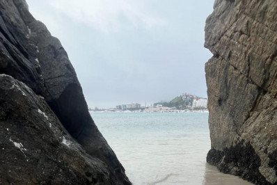 Tartaruga é encontrada morta na Praia Grande, em Arraial do Cabo