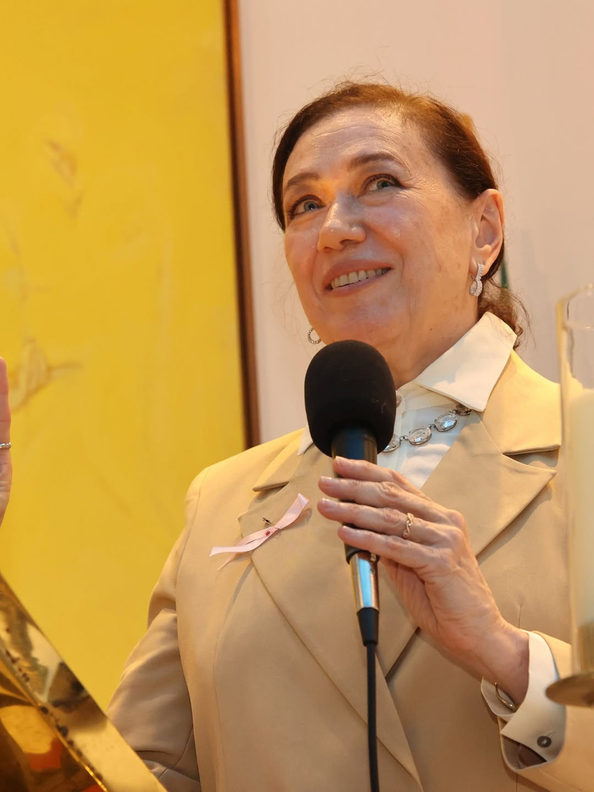 Lilia Cabral vai estrear espetáculo sobre Rita Lee em 2026 - Reprodução/Instagram 