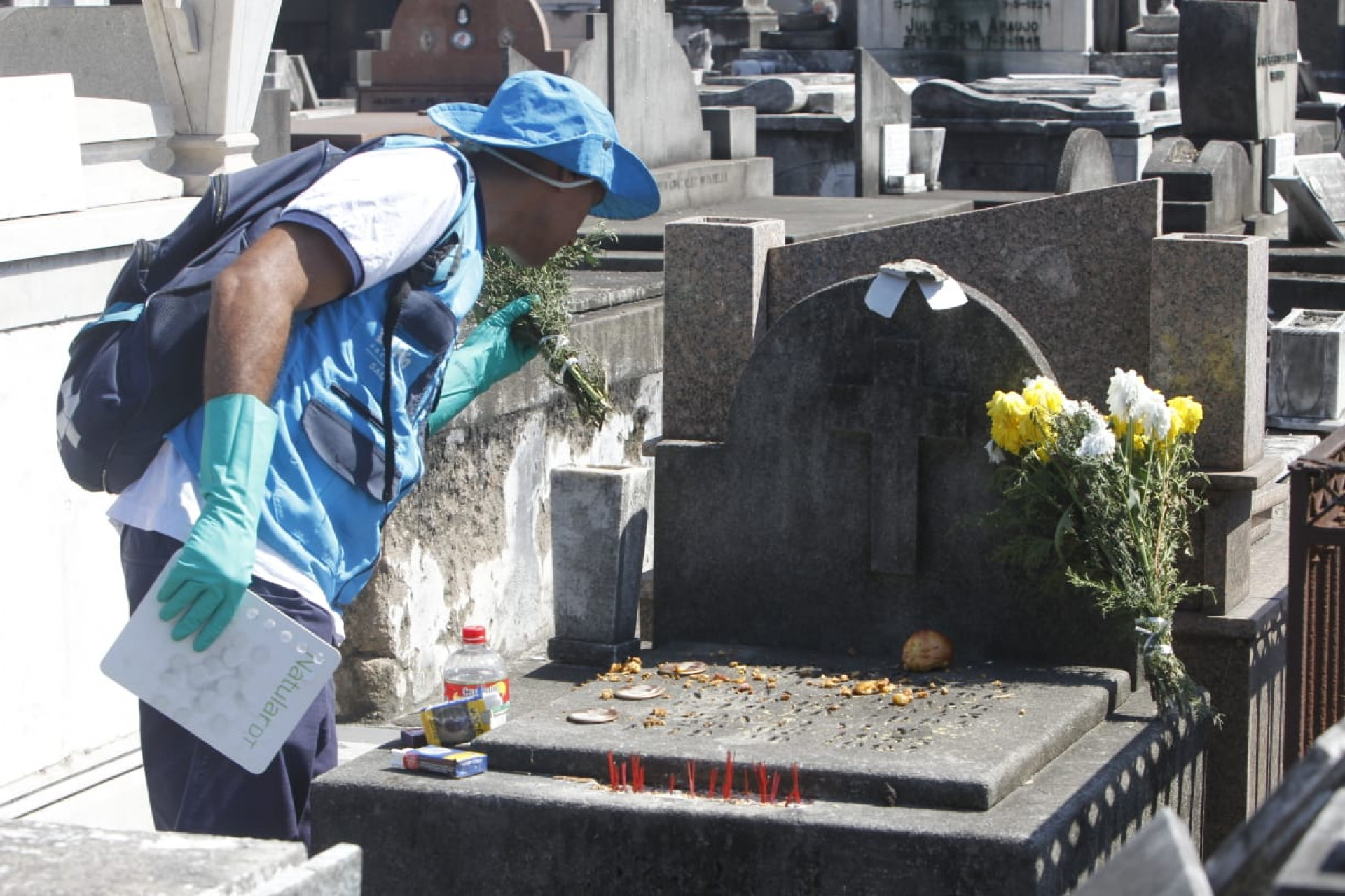 Agentes da Secretaria Municipal de Saúde fazem vistoria contra dengue no Cemitério São Francisco Xavier, no Caju - Reginaldo Pimenta / Agência O Dia