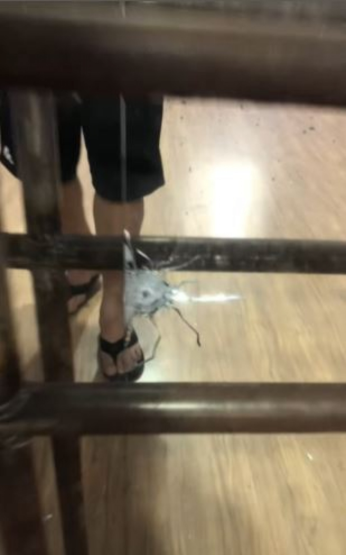 Sede do Projeto Cultural Arte Transformadora, na Penha, foi atingida por disparos - Rede Social