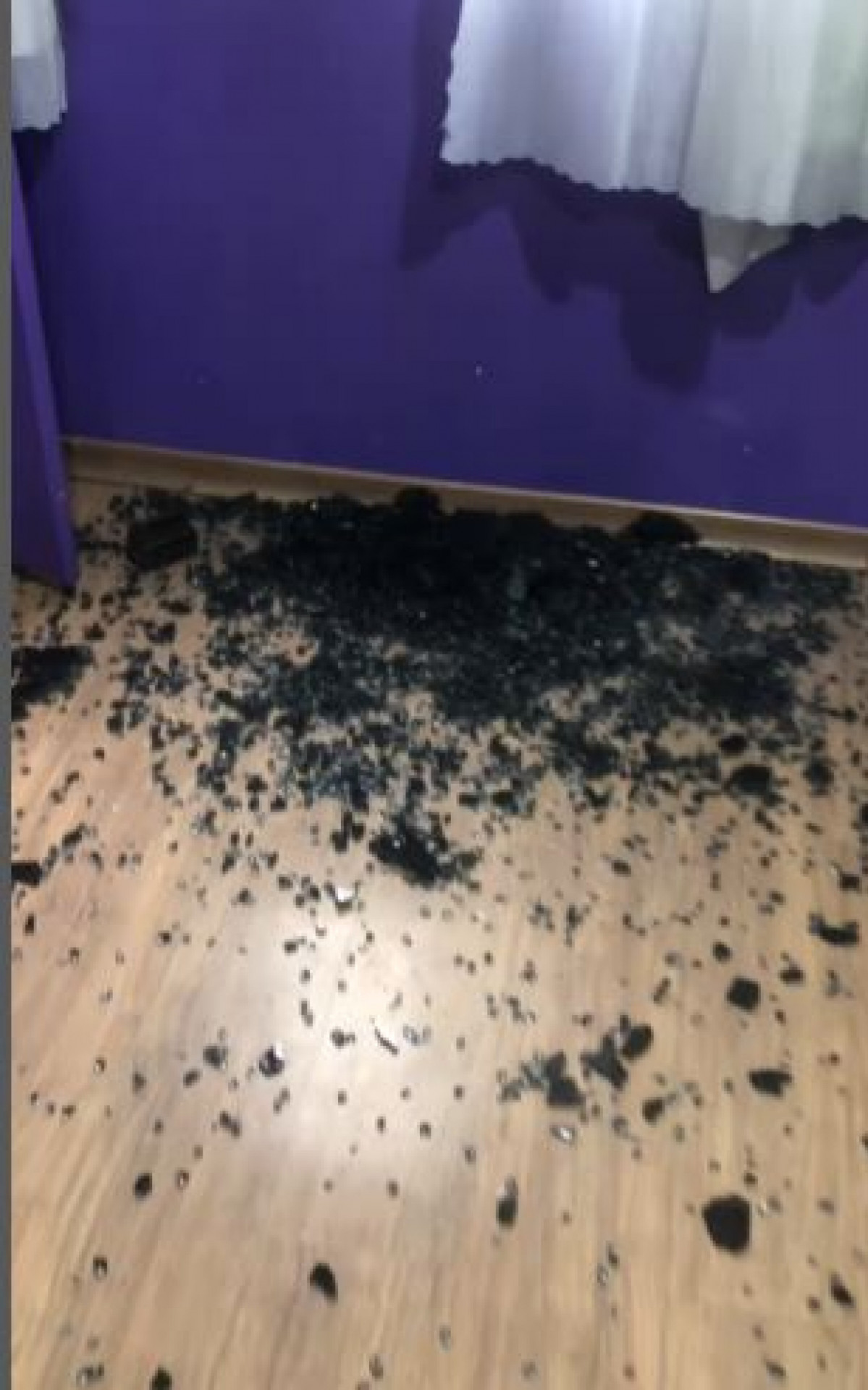 Janela da sede do Projeto Cultural Arte Transformadora, na Penha, quebrada após ser atingida
 - Rede Social