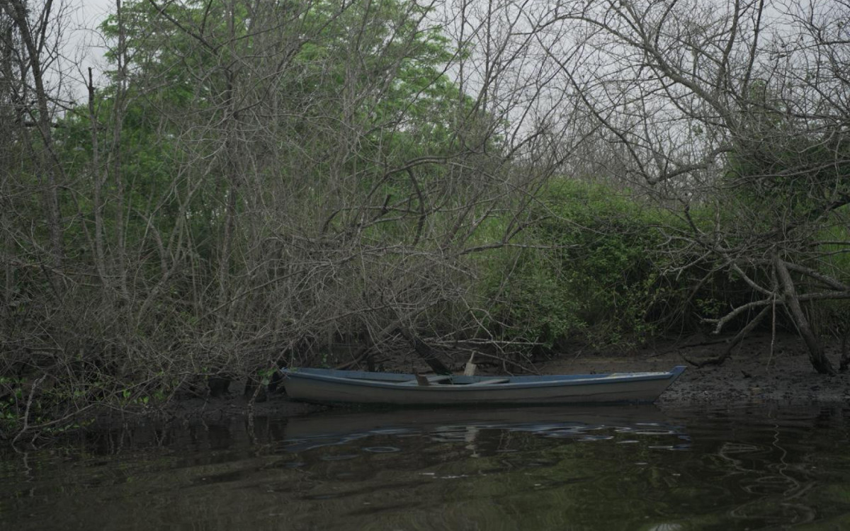 Ap&oacute;s desastre, comunidade de pescadores encerra a&ccedil;&otilde;es com ben&ccedil;&atilde;o ao Rio Suru&iacute; - Divulga&ccedil;&atilde;o