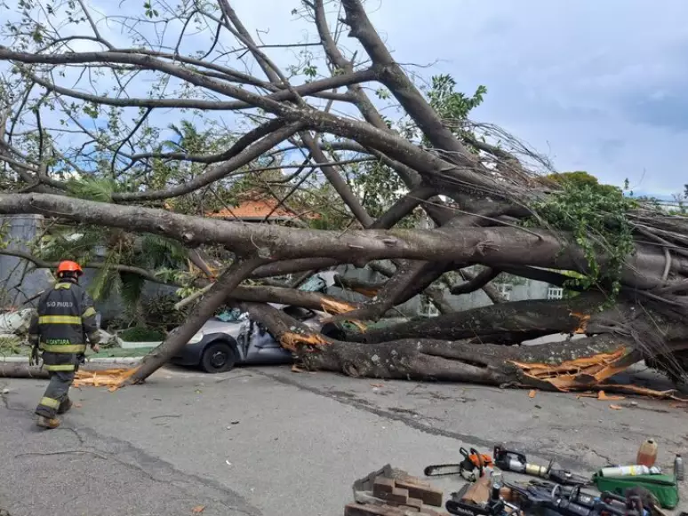 Árvore cai sobre carro na zona sul de SP e vítima é socorrida em estado grave