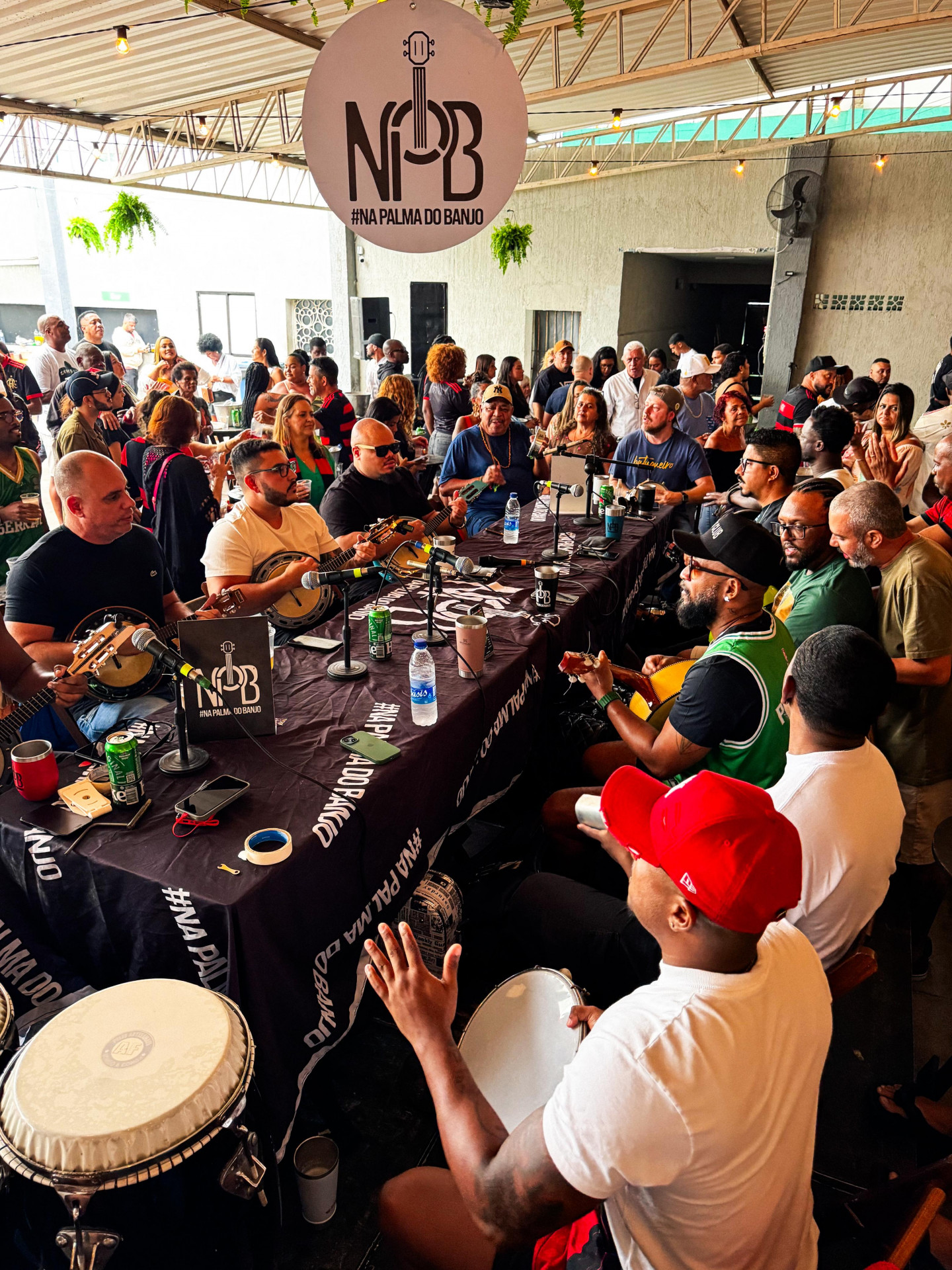 Projeto 'Na Palma do Banjo' se apresenta no Samba da Feira - Divulgação