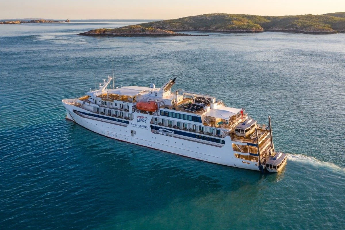 Idosa morre após ser esquecida por cruzeiro em ilha 