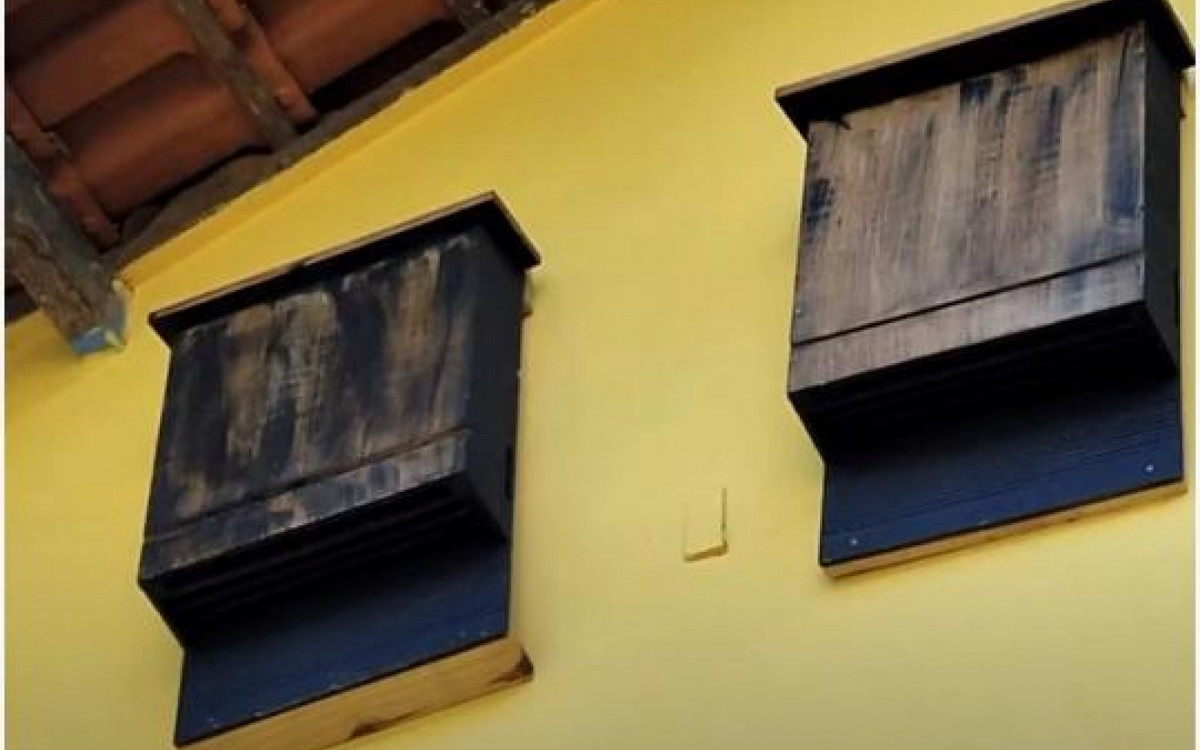 \'Bat houses\' feitas em madeira, e instaladas na parte externa da residência, podem abrigar morcegos 