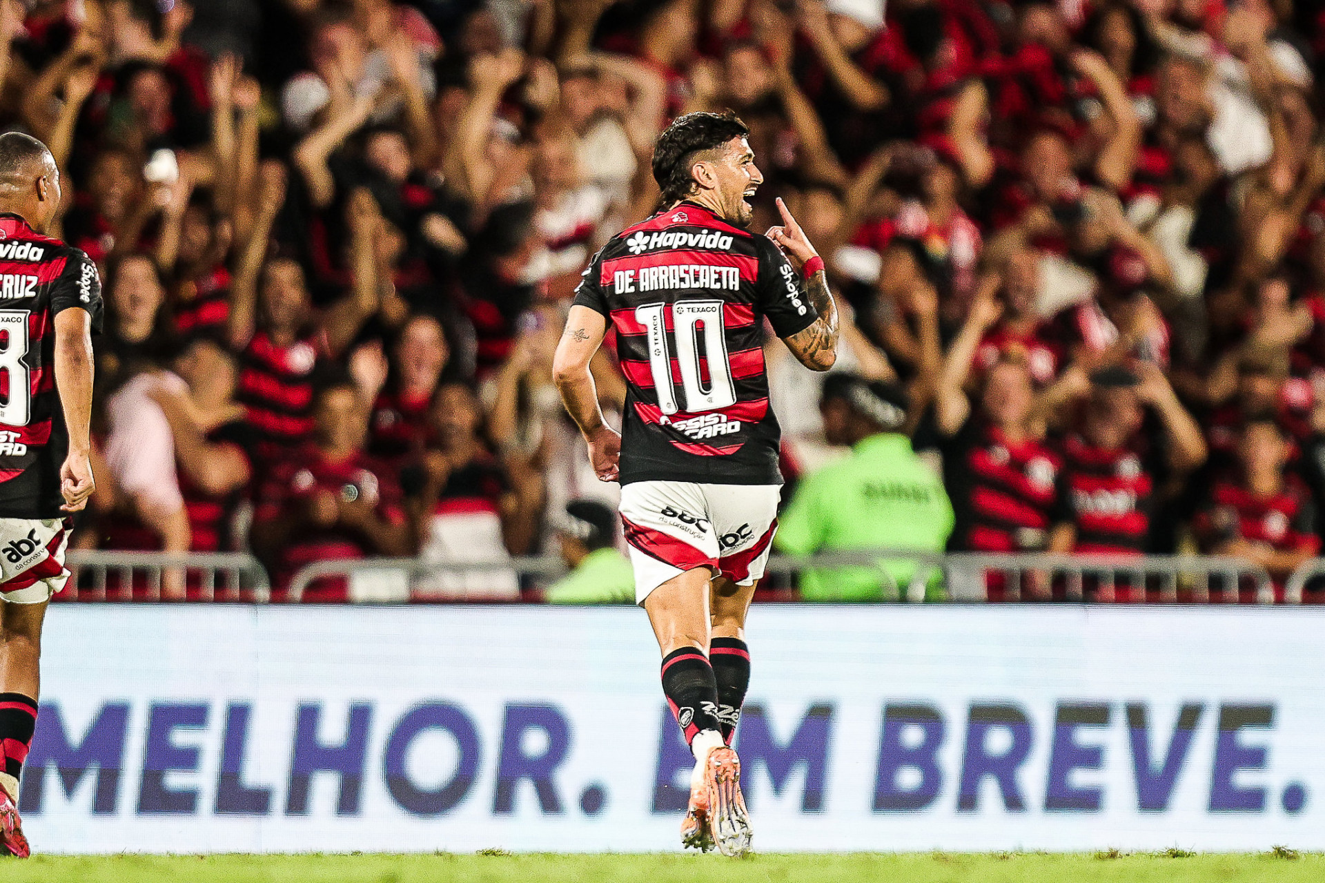 Comemoração de Arrascaeta - Gilvan de Souza/Flamengo