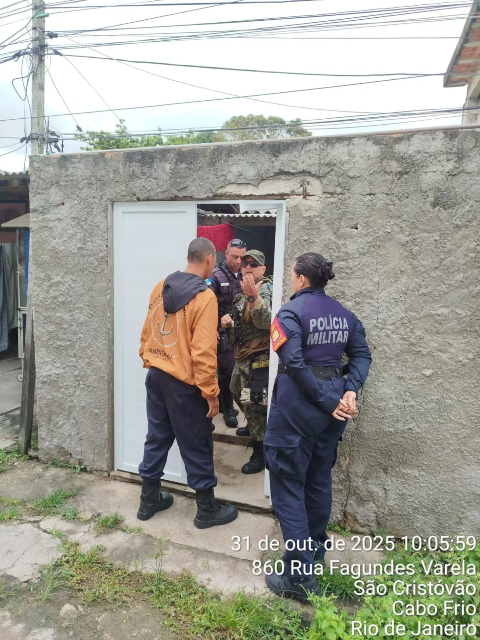 Guarda Mar&iacute;tima e Ambiental resgata 11 c&atilde;es - Reprodu&ccedil;&atilde;o