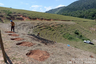 O Rio que planta o futuro