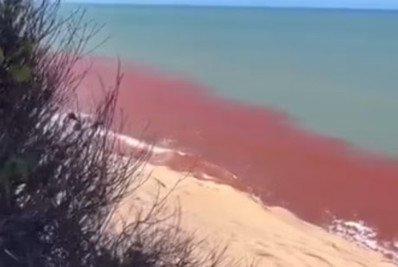 'Maré vermelha' tinge o mar e assusta banhistas no RN; entenda o fenômeno