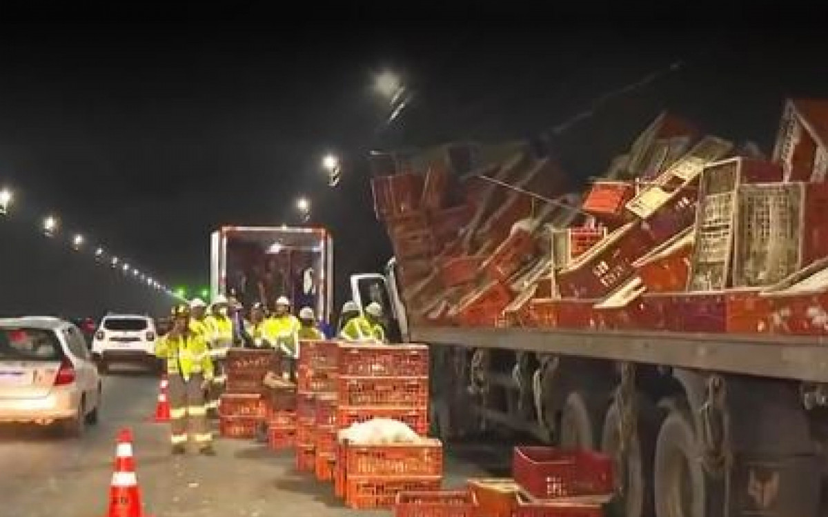 Carga com galinhas foi jogada ao chão durante tombamento de caminhão - Reprodução/BDRJ