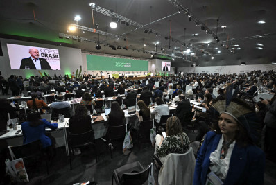 COP30: Alemanha planeja apoiar proposta do Brasil de criar fundo mundial para proteger floresta tropical