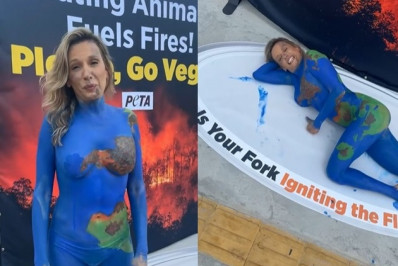 Luisa Mell exibe pintura corporal em protesto contra COP30