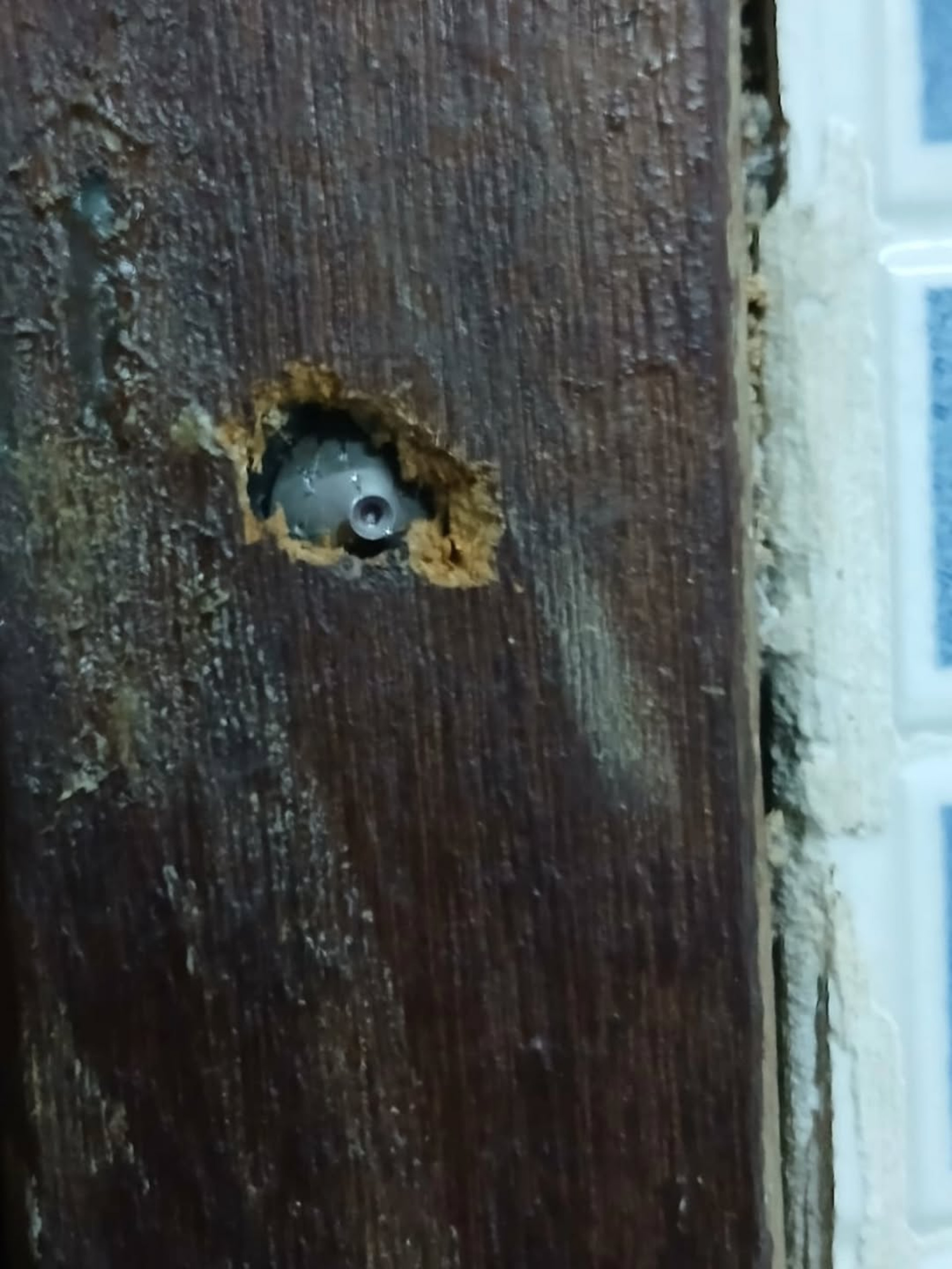 Câmera foi instalada no portal de um banheiro masculino  - Reprodução / Redes Sociais