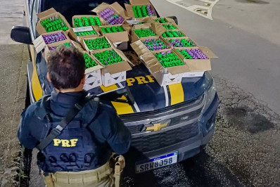 Homem é preso com mais de mil cápsulas de cocaína em Petrópolis