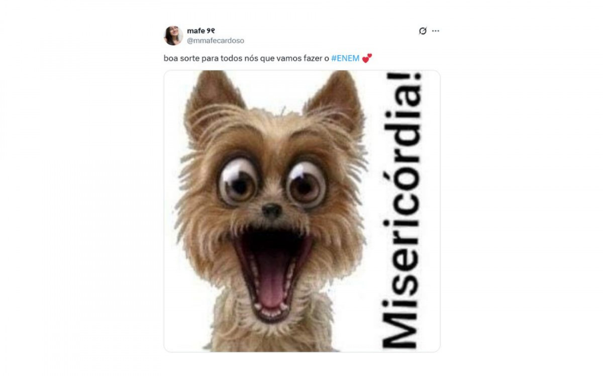 Memes do Enem 2025: tudo sob controle... talvez não