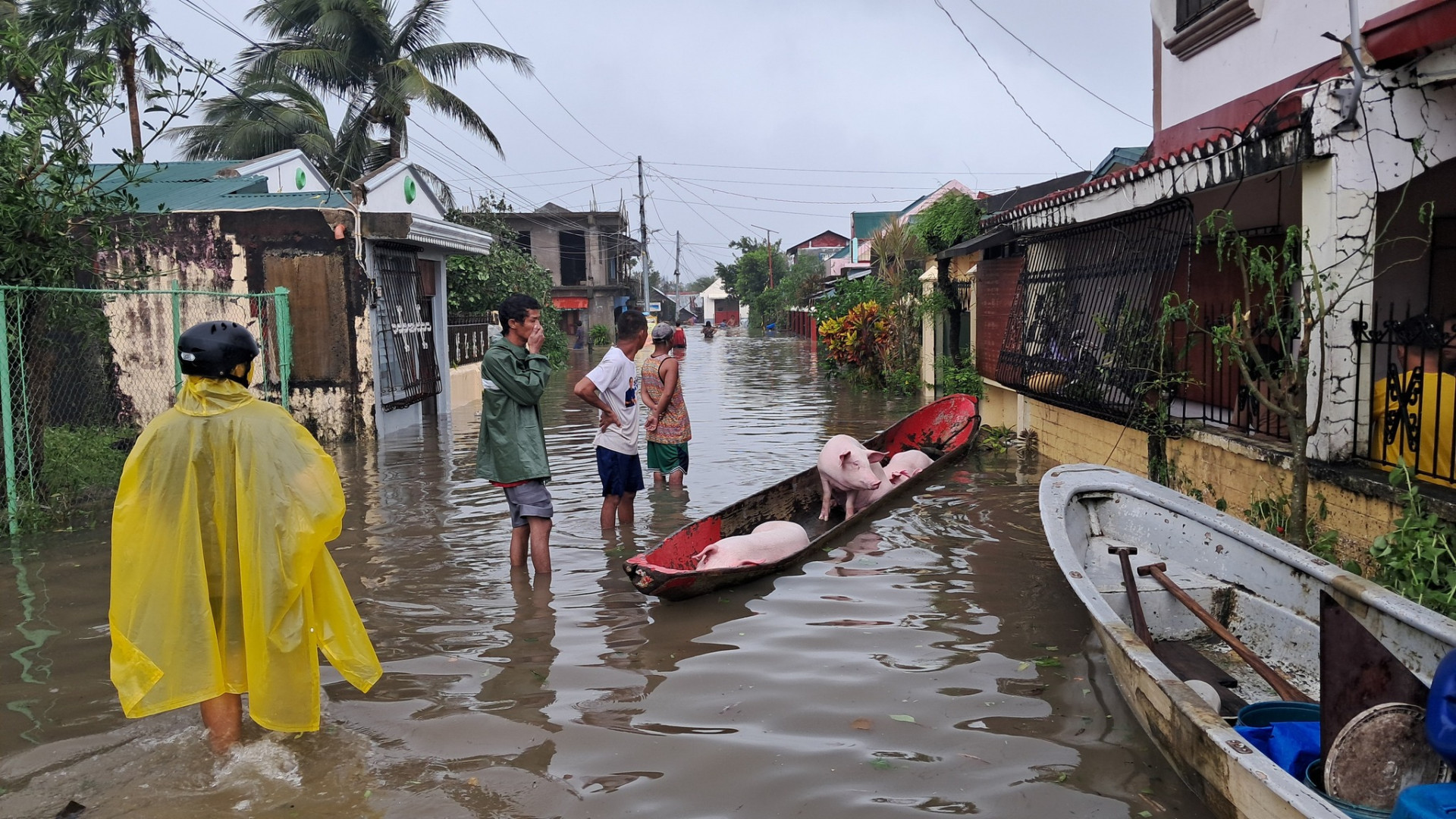 Supertufão deixa rastro de destruição no município de Pandan, em Catanduanes, nas Filipinas - Reprodução / MDRRMO de Pandan