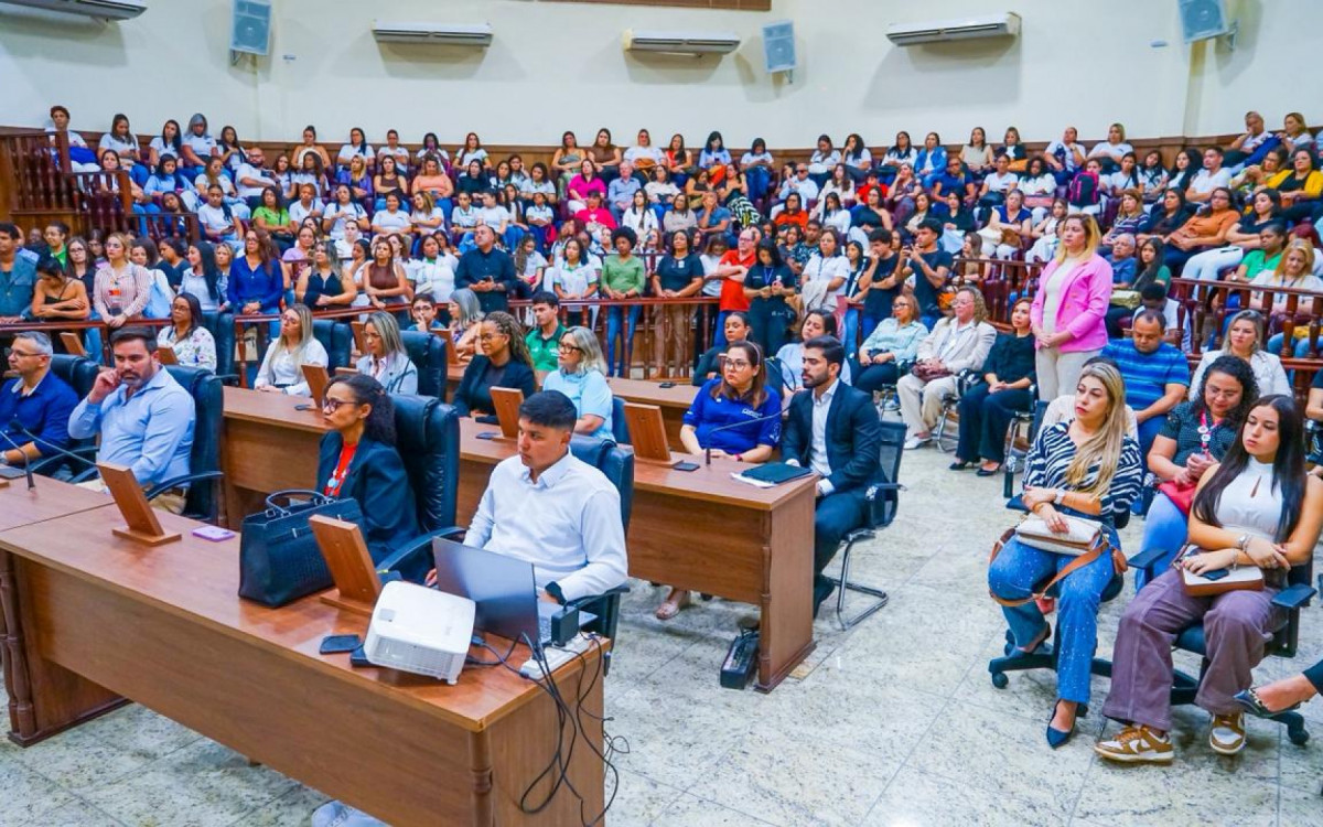 Profissionais da saúde meritiense participaram da solenidade na Câmara Municipal