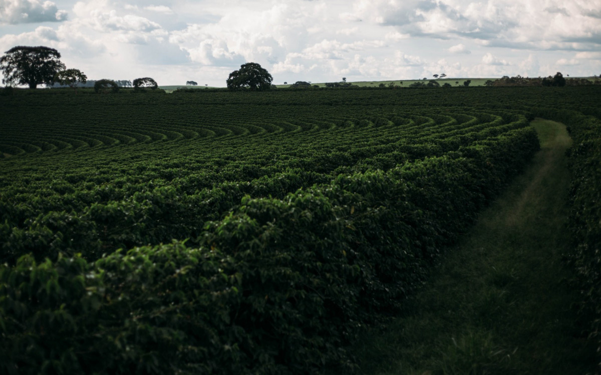 Agricultura Regenerativa